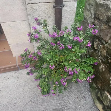 La Casa De La Vega Dom wakacyjny